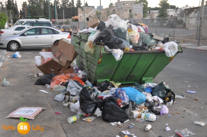 trash lud 907 (1).JPG